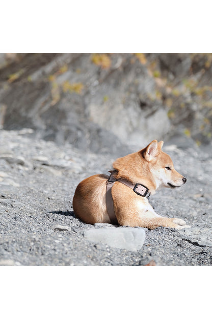 Lambwolf Collective OTTO