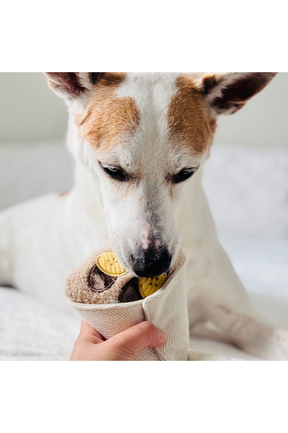 Lambwolf Collective CREPE