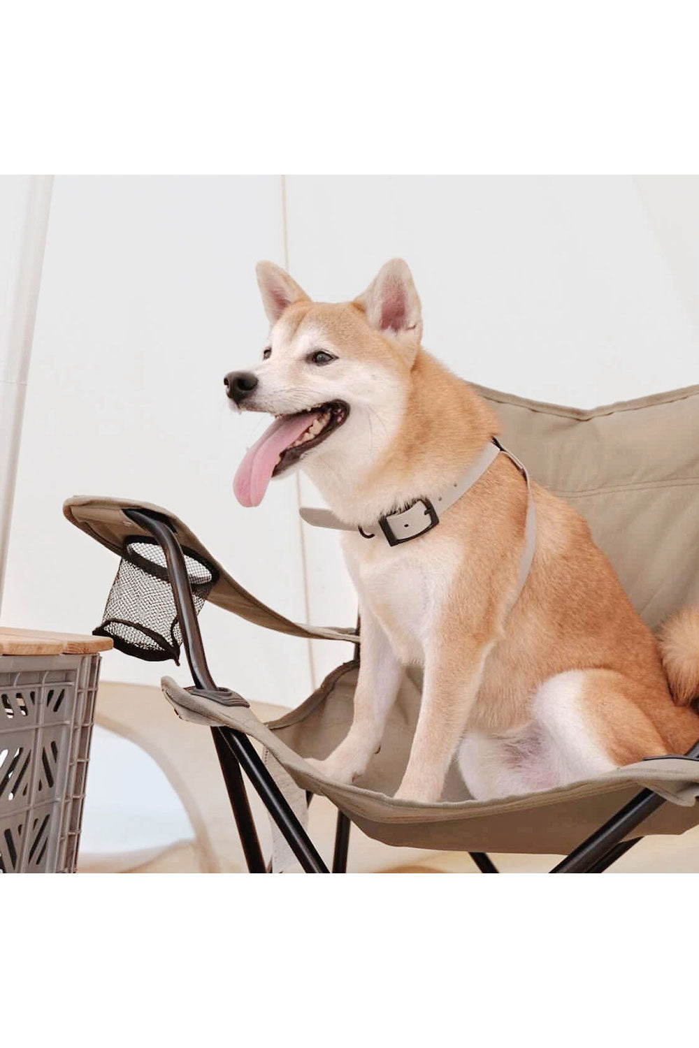 Lambwolf Collective OTTO