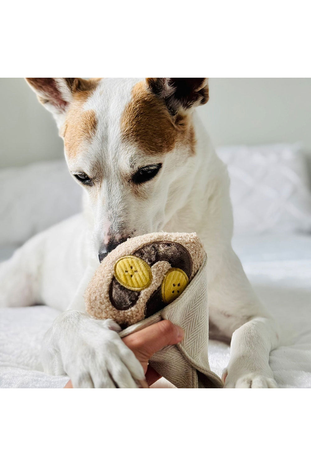 Lambwolf Collective CREPE