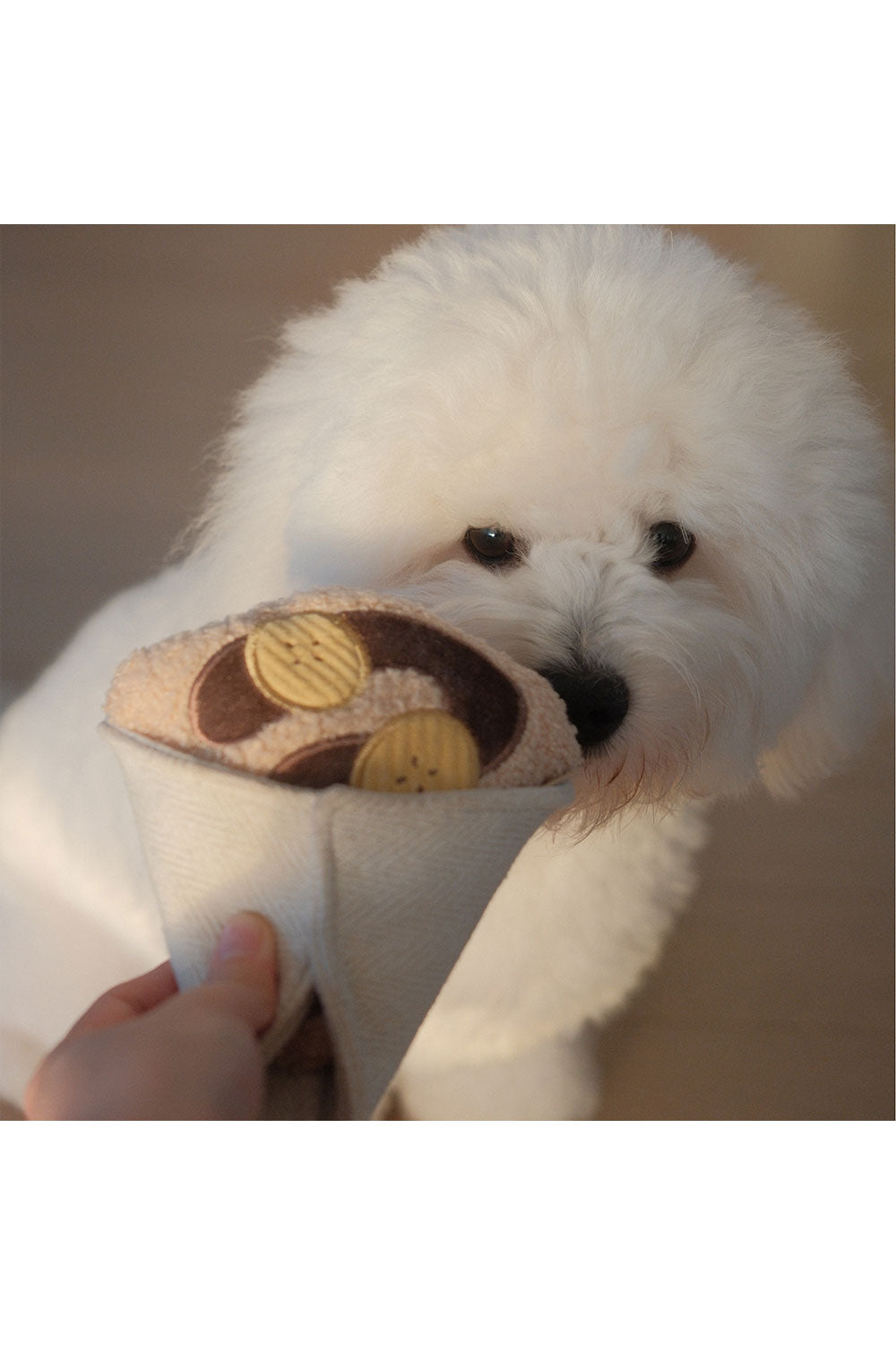 Lambwolf Collective CREPE