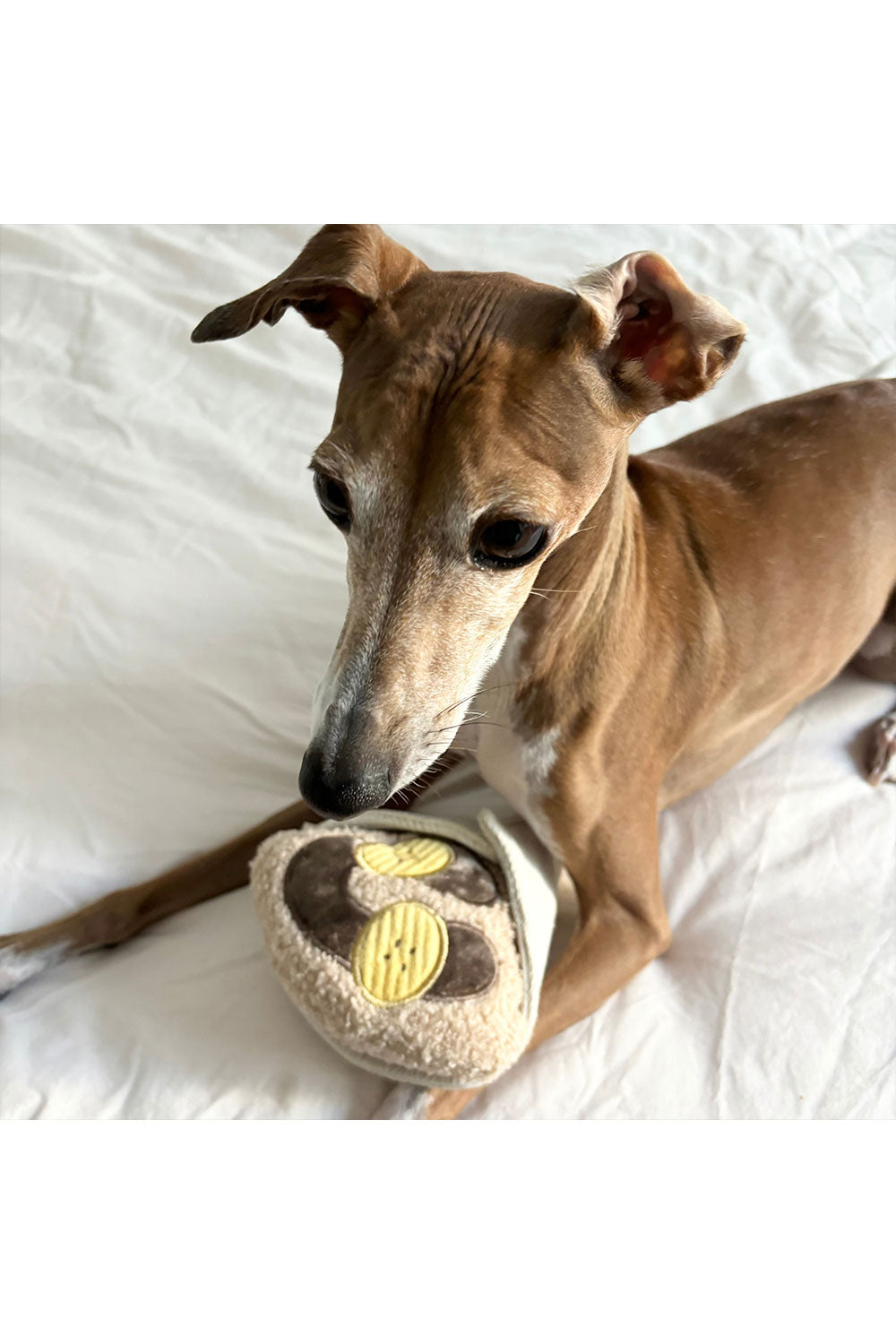 Lambwolf Collective CREPE