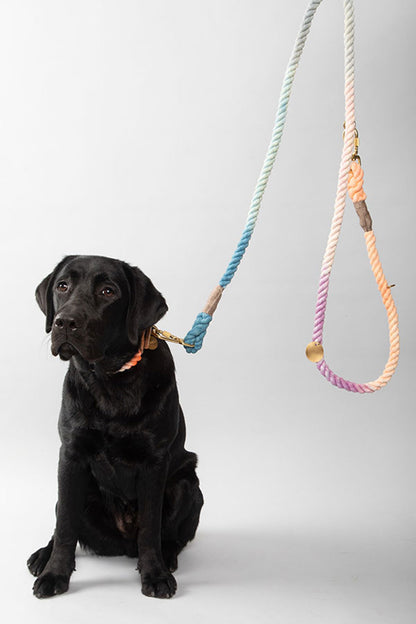 FOUND MY ANIMAL OMBRE COTTON ROPE DOG LEASH, ADJUSTABLE