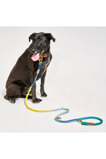 FOUND MY ANIMAL COTTON ROPE DOG LEASH, ADJUSTABLE & HANDCRAFTED - AZURE