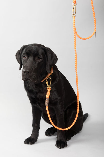 FOUND MY ANIMAL ROPE & LEATHER CAT & DOG COLLAR