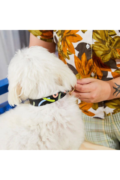 NICE DIGS MIDNIGHT MIRAGE DOG COLLAR