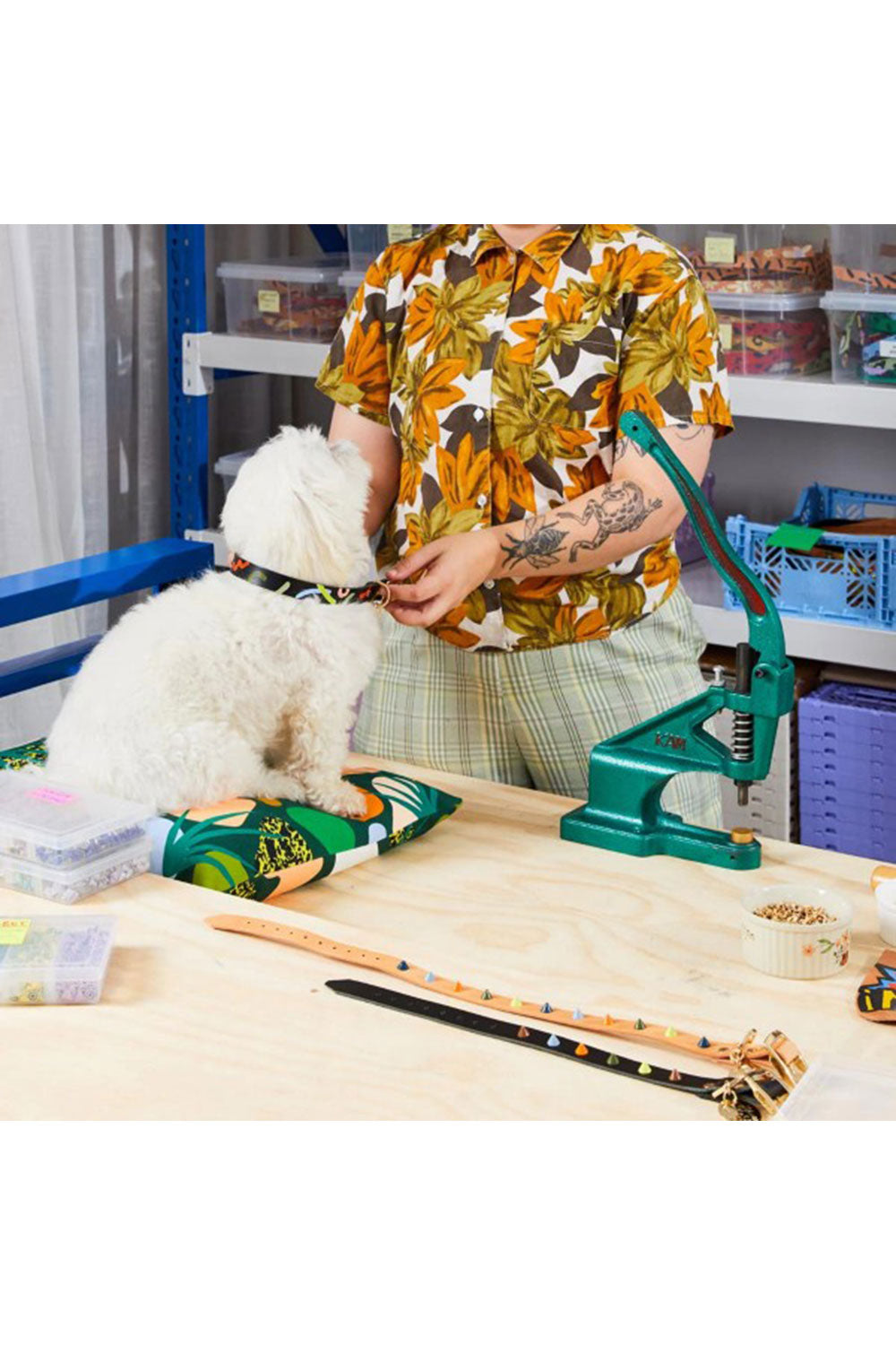 NICE DIGS MIDNIGHT MIRAGE DOG COLLAR