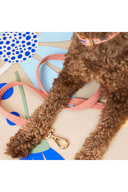 NICE DIGS CORD DOG LEASH