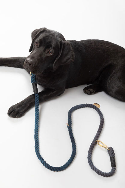 FOUND MY ANIMAL COTTON ROPE DOG LEASH, ADJUSTABLE - PERIWINKLE