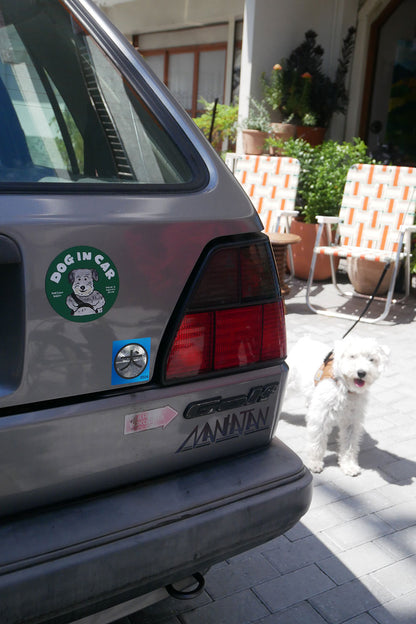 mellowbear DOG IN CAR magnet