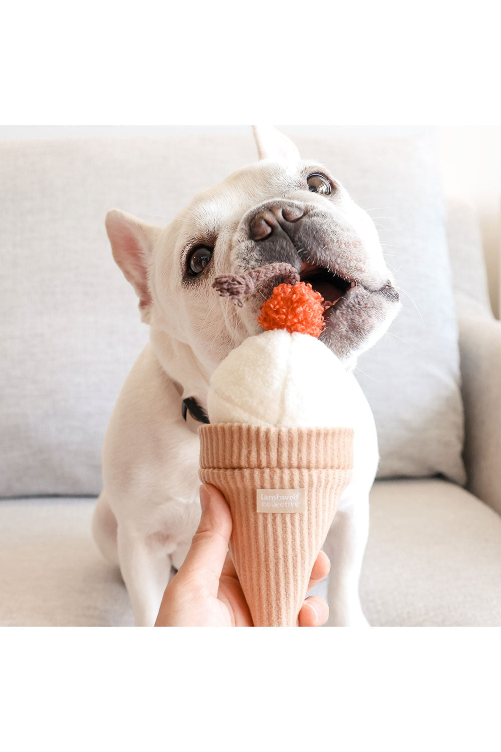 Lambwolf Collective ICECREAM POP