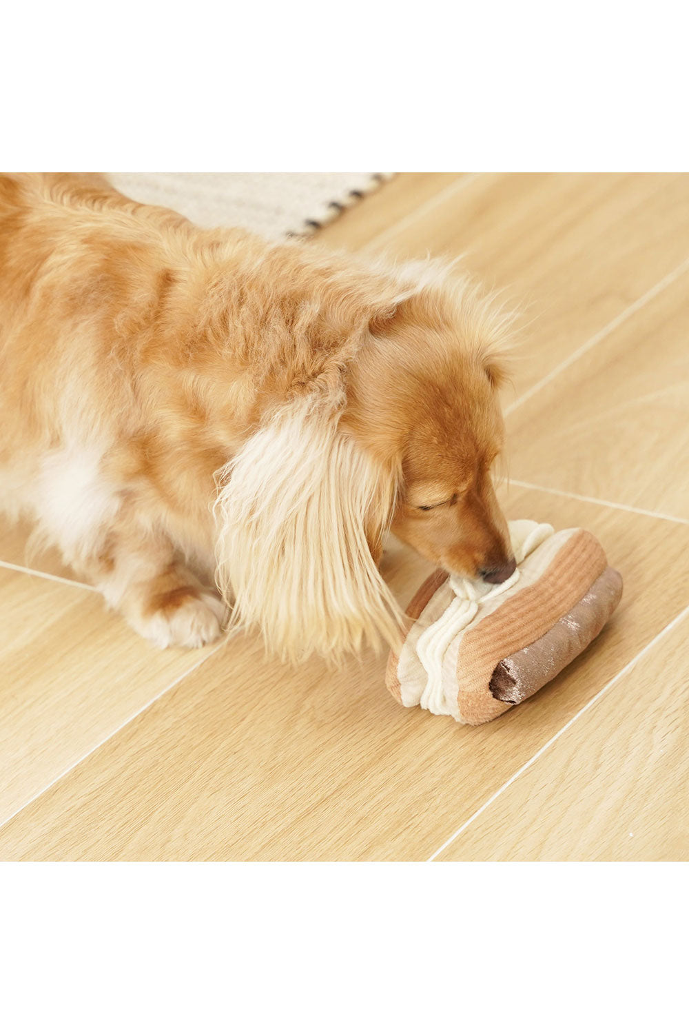 Lambwolf Collective ECLAIR