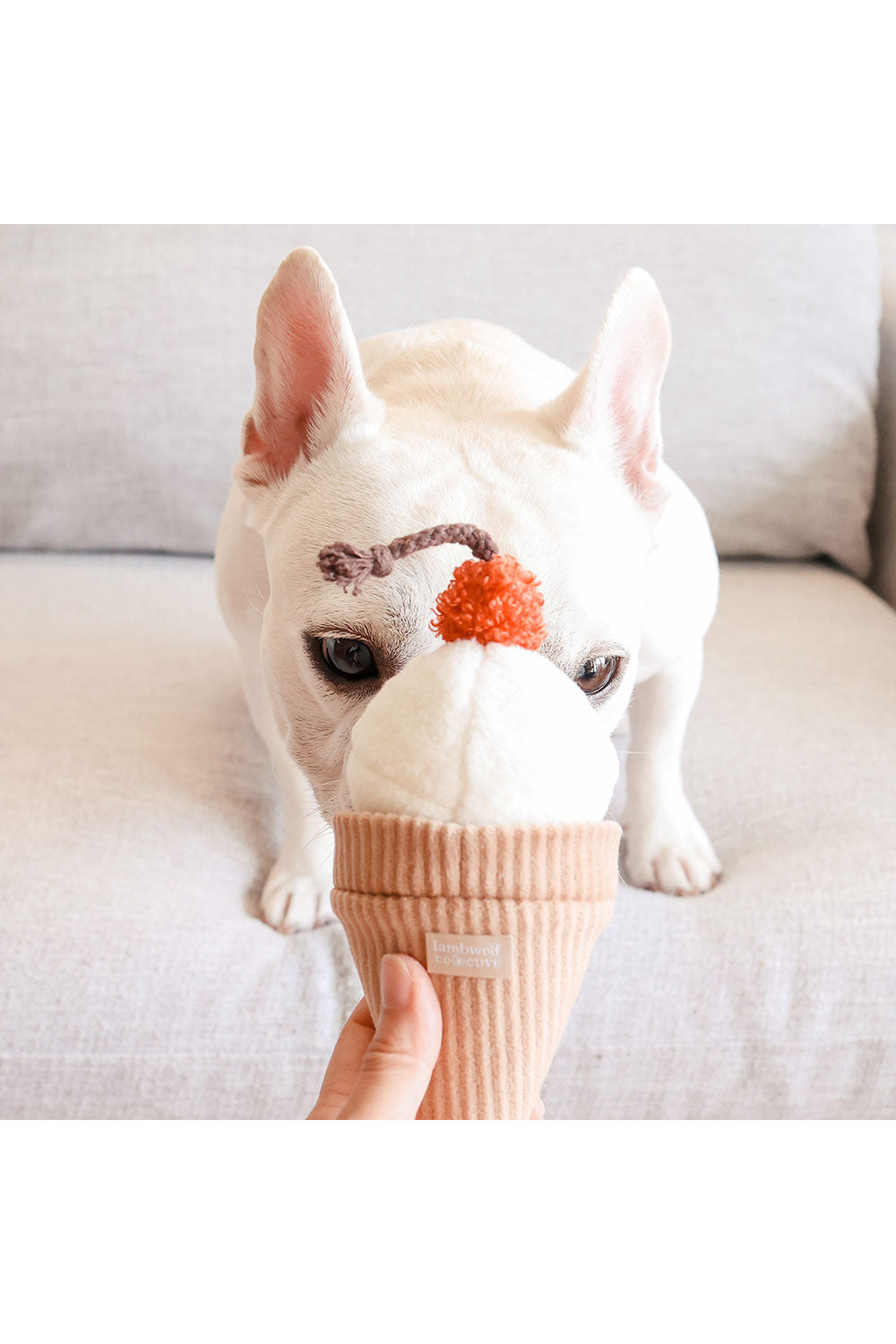 Lambwolf Collective ICECREAM POP