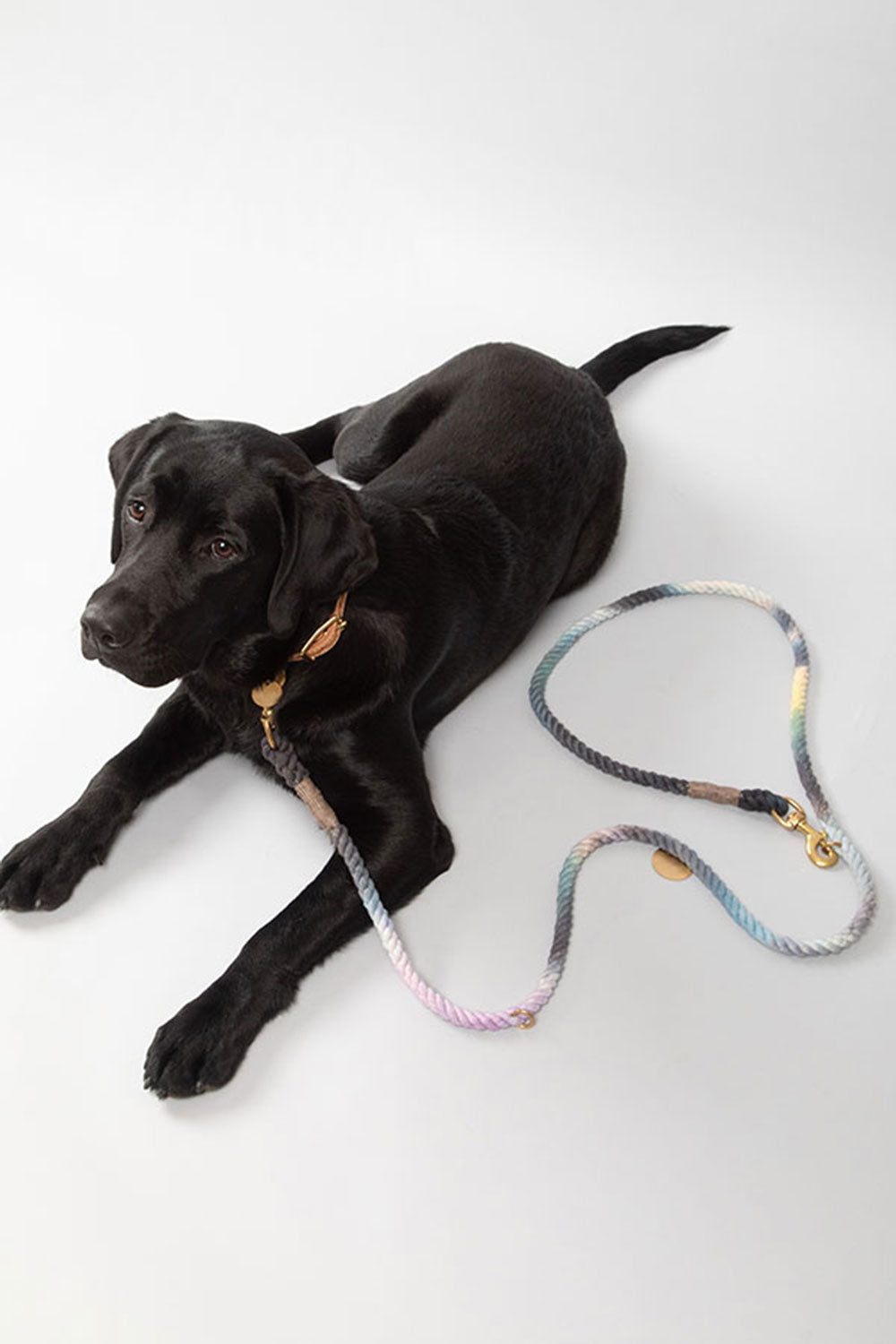 FOUND MY ANIMAL COTTON ROPE DOG LEASH, BOLT SNAPS, ADJUSTABLE - NAVY
