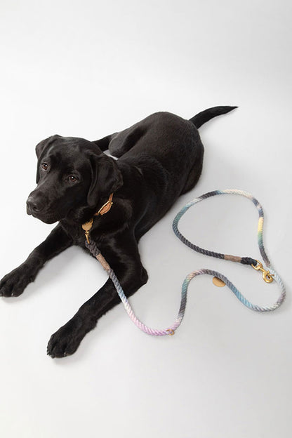 FOUND MY ANIMAL COTTON ROPE DOG LEASH, BOLT SNAPS, ADJUSTABLE - NAVY
