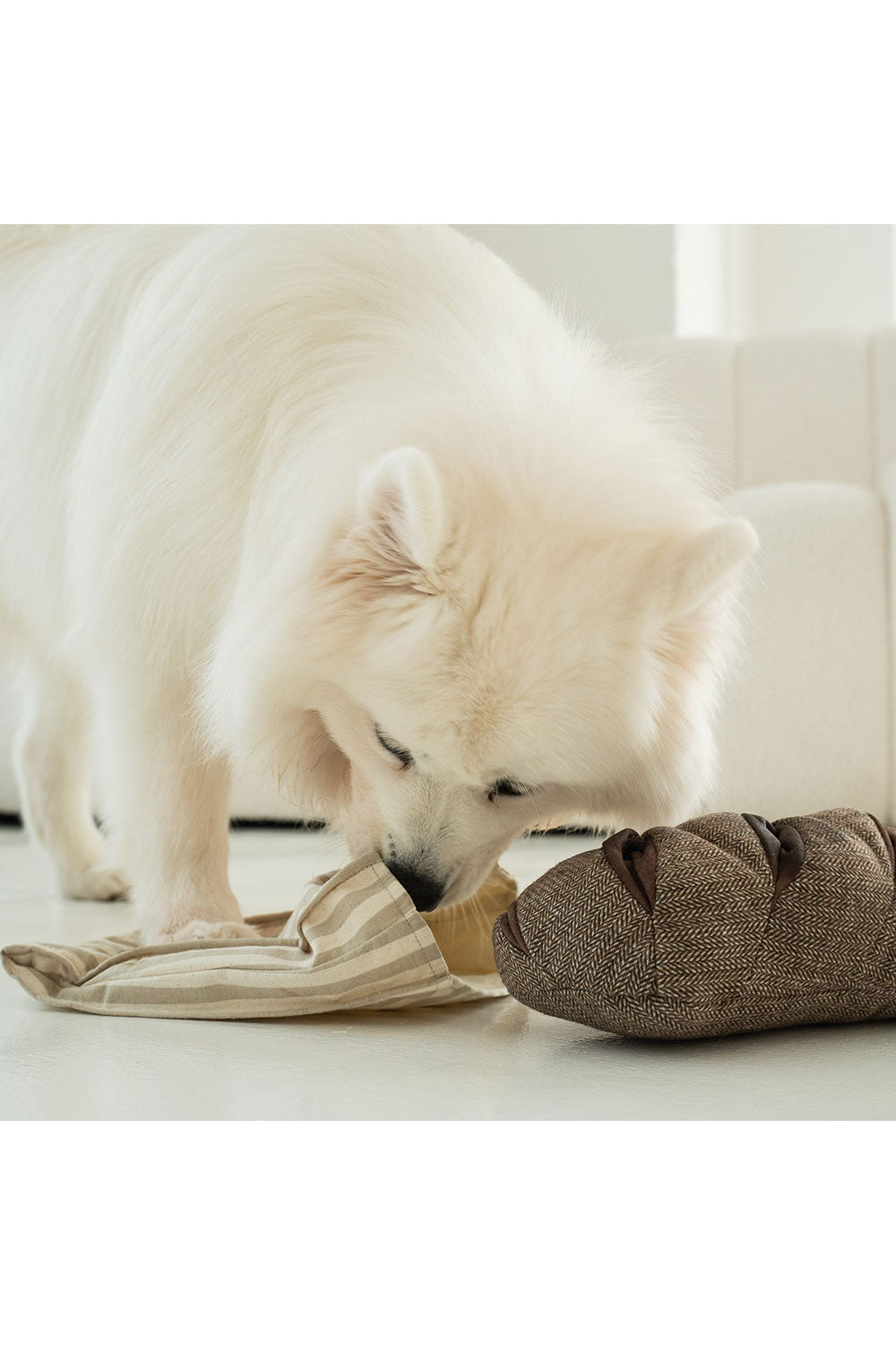 Lambwolf Collective RYE