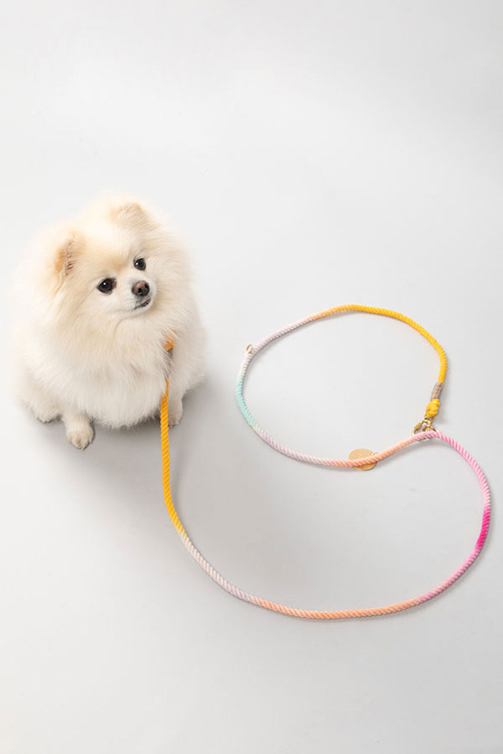 FOUND MY ANIMAL OMBRE COTTON ROPE DOG LEASH, ADJUSTABLE