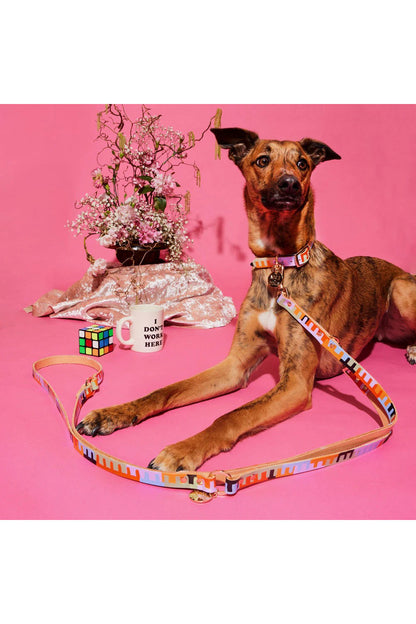 NICE DIGS LEVEL UP DOG COLLAR