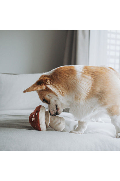 Lambwolf Collective SHROOM