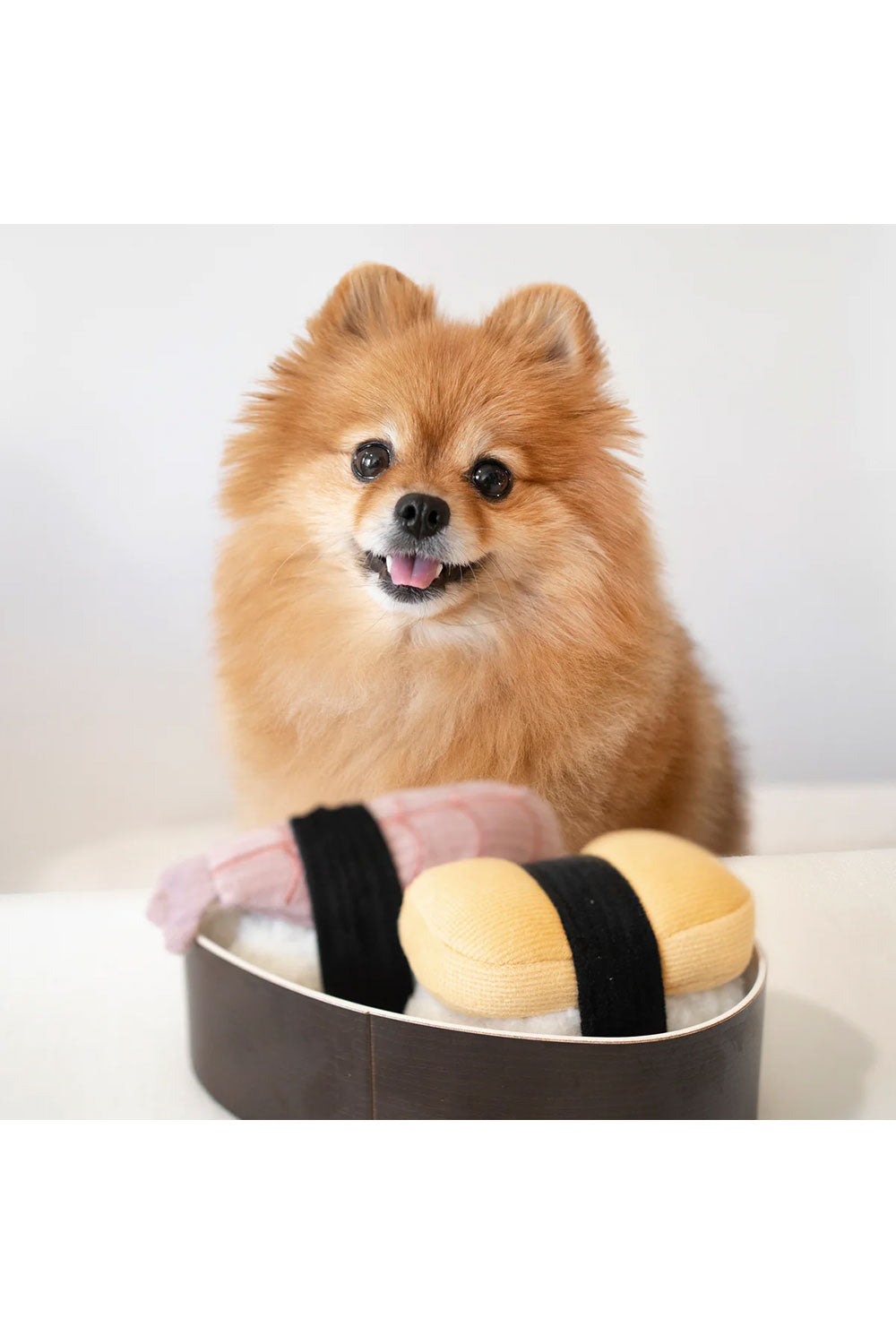 Lambwolf Collective SUSHI