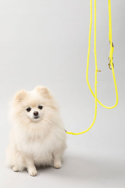 FOUND MY ANIMAL NYLON ROPE DOG LEASH, ADJUSTABLE