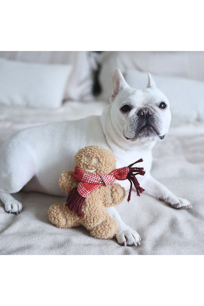 Lambwolf Collective MISTER GINGERBREAD