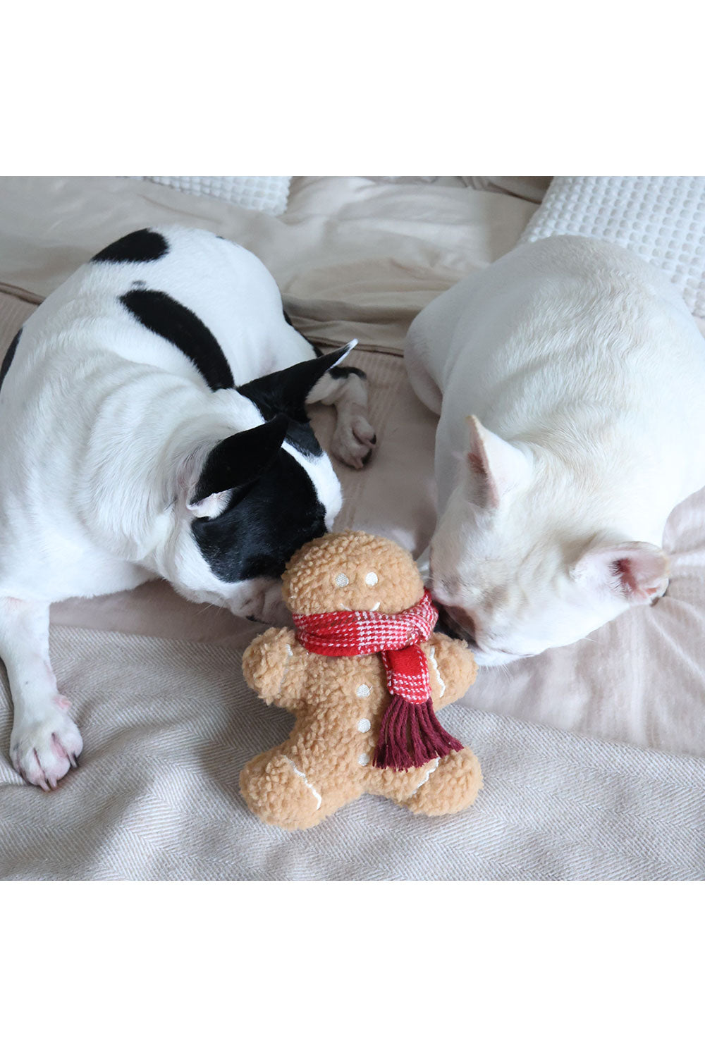 Lambwolf Collective MISTER GINGERBREAD