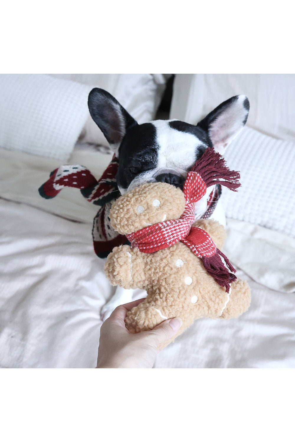 Lambwolf Collective MISTER GINGERBREAD