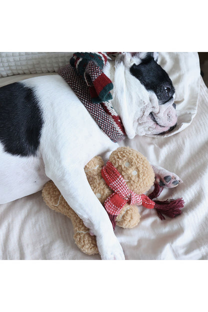 Lambwolf Collective MISTER GINGERBREAD