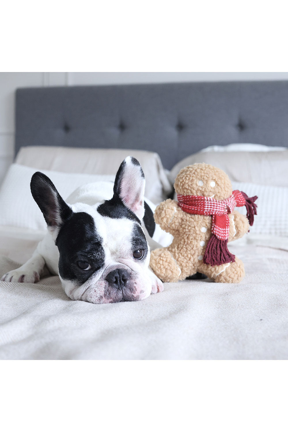 Lambwolf Collective MISTER GINGERBREAD