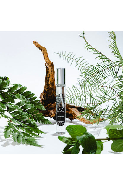 <O SKIN＆HAIR>FRAGRANCE 04 Ombre