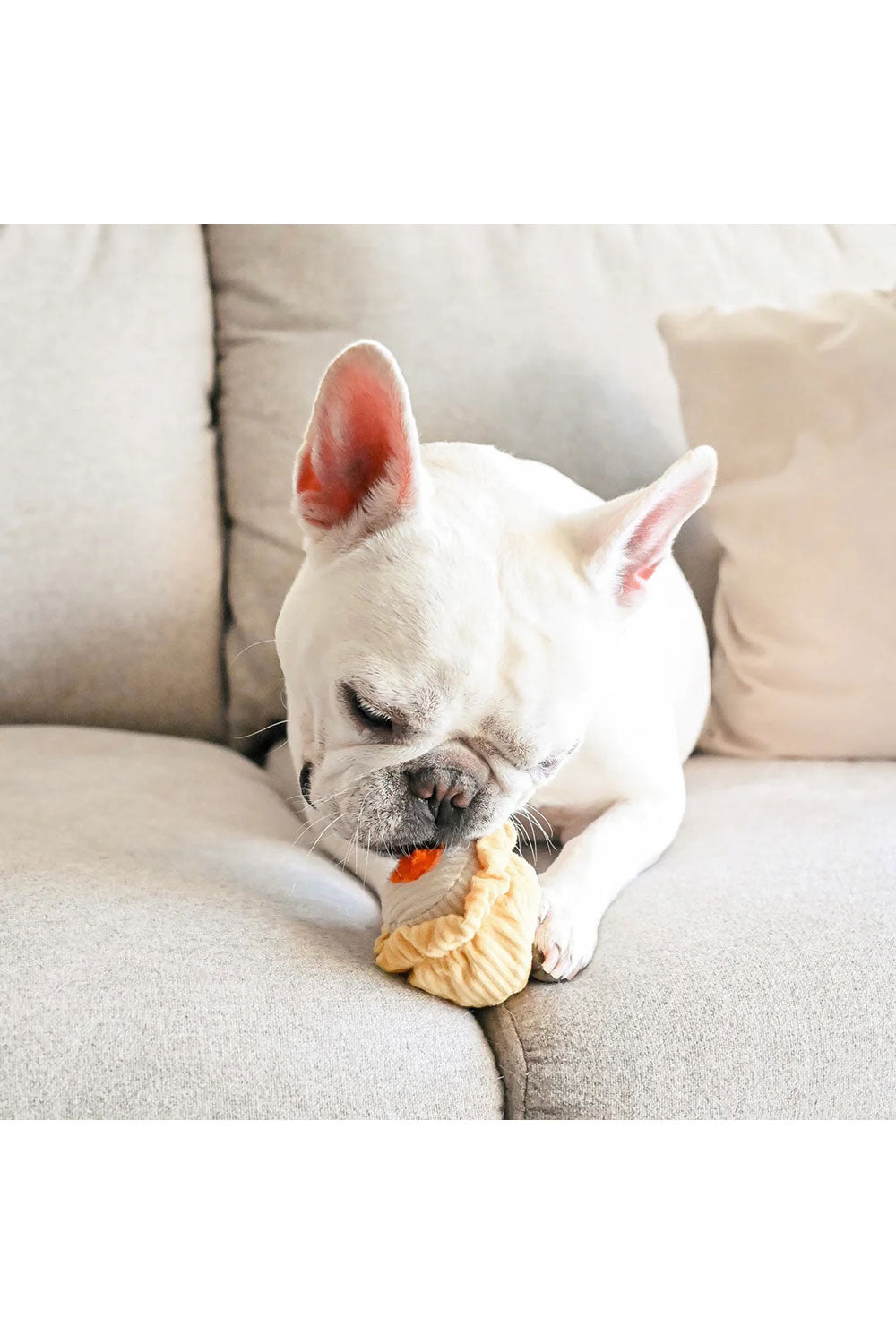 Lambwolf Collective DIM SUM POP