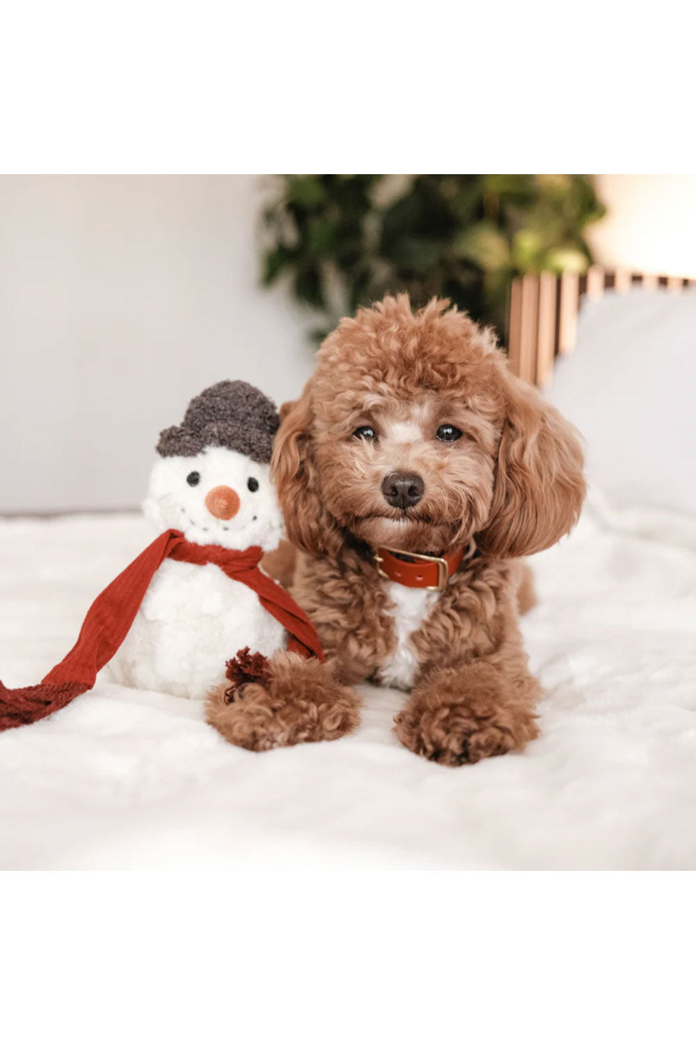 Lambwolf Collective SNOWMAN