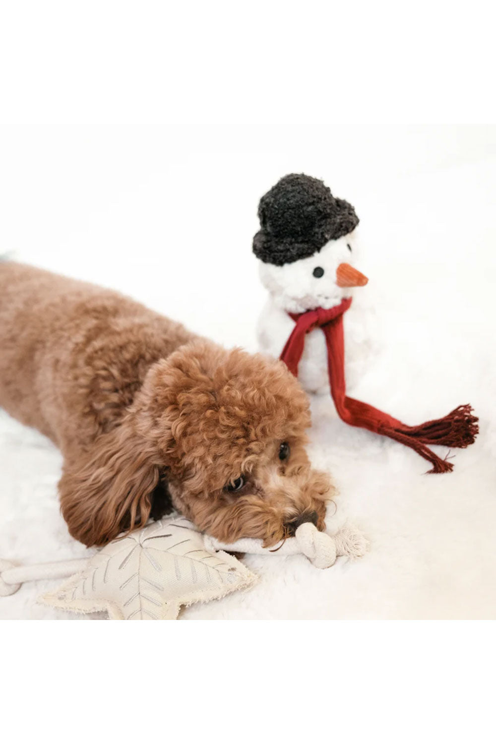 Lambwolf Collective SNOWMAN