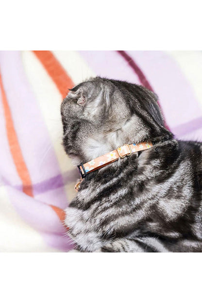 NICE DIGS POSIE LEATHER CAT COLLAR