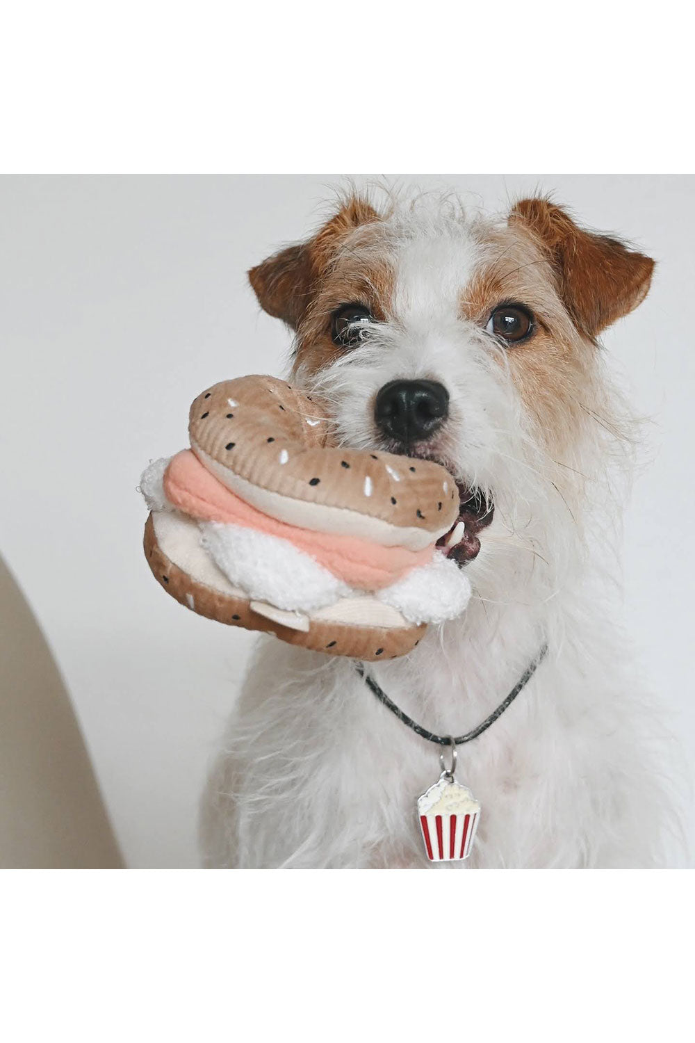 Lambwolf Collective BAGEL＋PICKLE