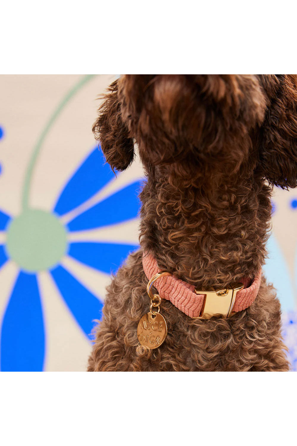 NICE DIGS CORD DOG COLLAR