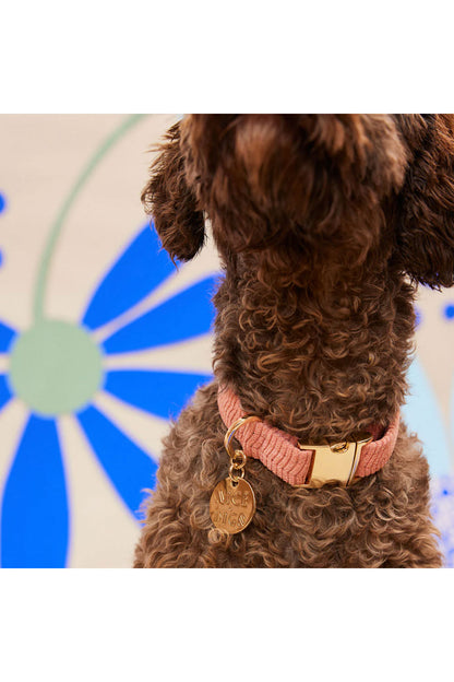 NICE DIGS CORD DOG COLLAR