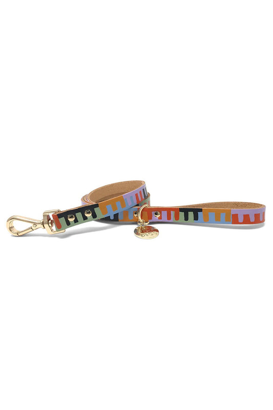 NICE DIGS LEVEL UP DOG LEASH