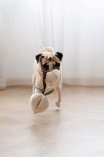 Lambwolf Collective MOMO snuffle peaches