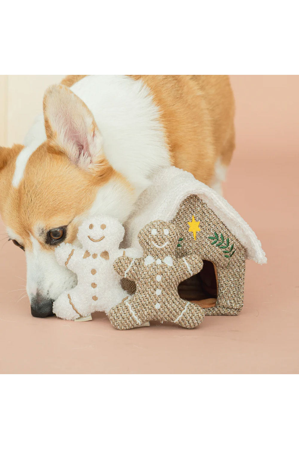 Lambwolf Collective GINGERBREAD HOUSE