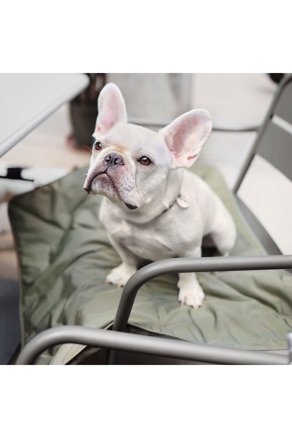 Lambwolf Collective ORII CAFE MAT