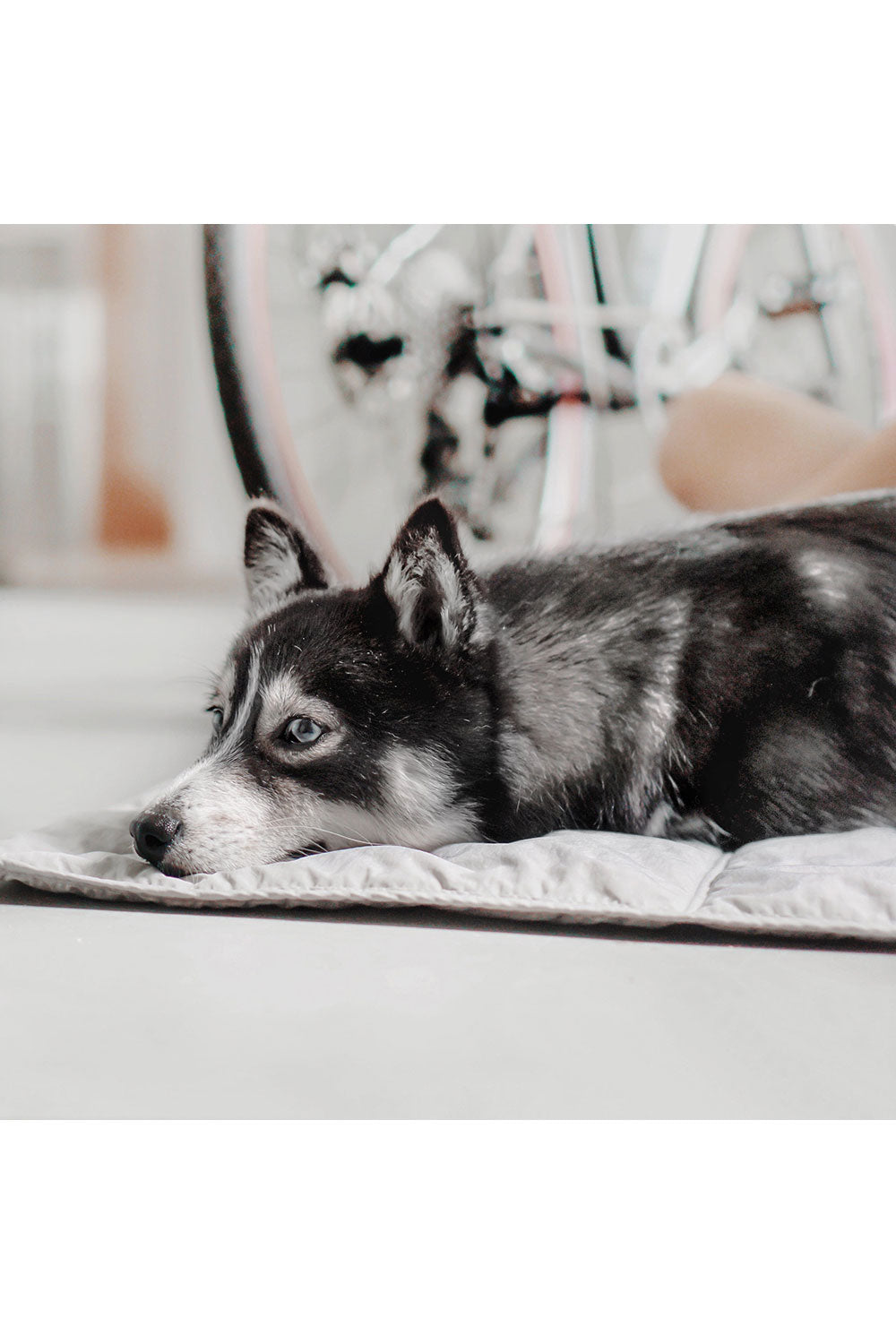 Lambwolf Collective ORII CAFE MAT