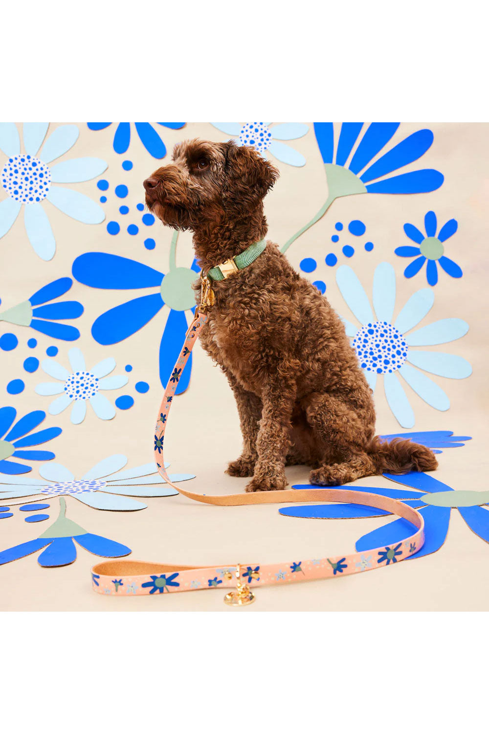 NICE DIGS POSIE DOG LEASH