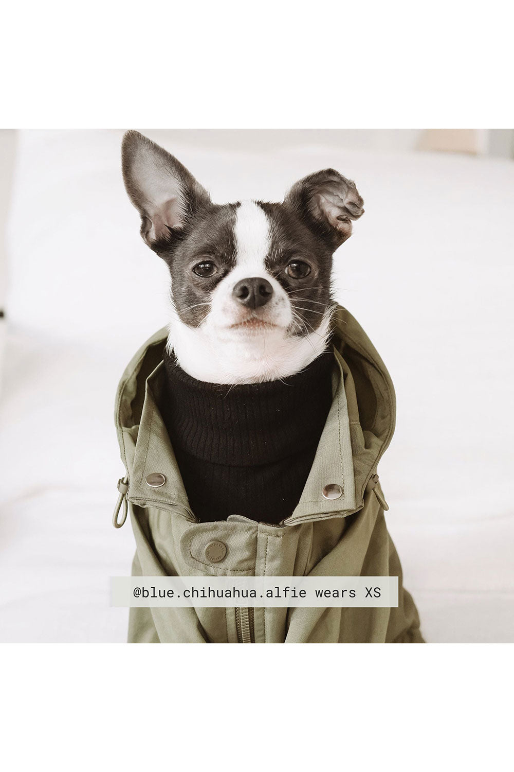 Lambwolf Collective BROOKLYN Raincoat