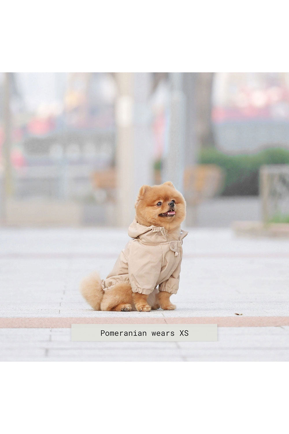 Lambwolf Collective BROOKLYN Raincoat