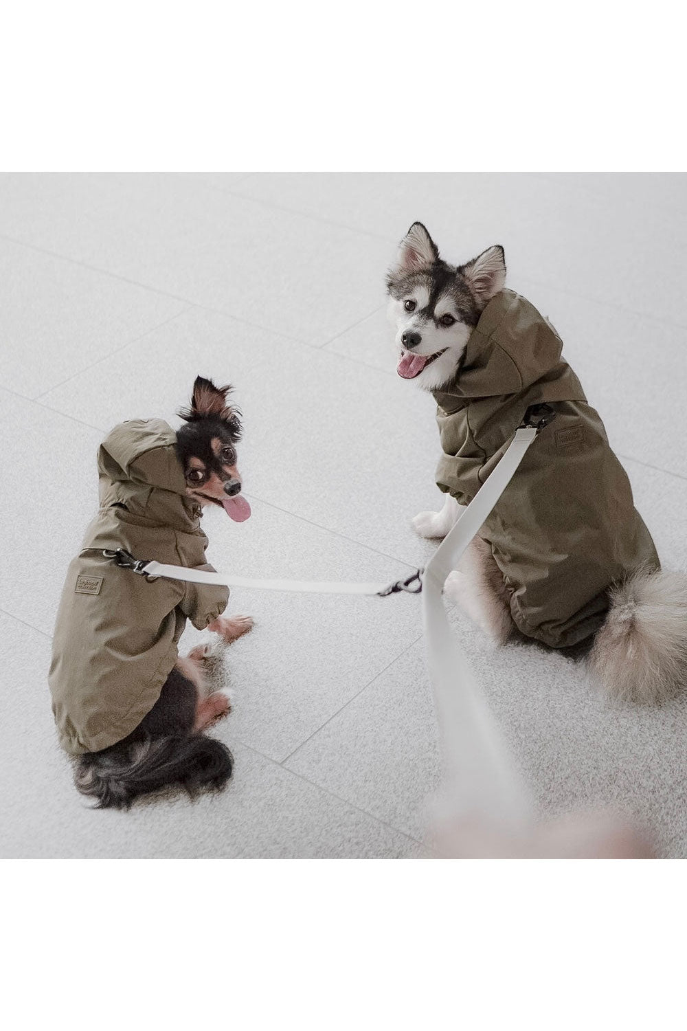 Lambwolf Collective BROOKLYN Raincoat