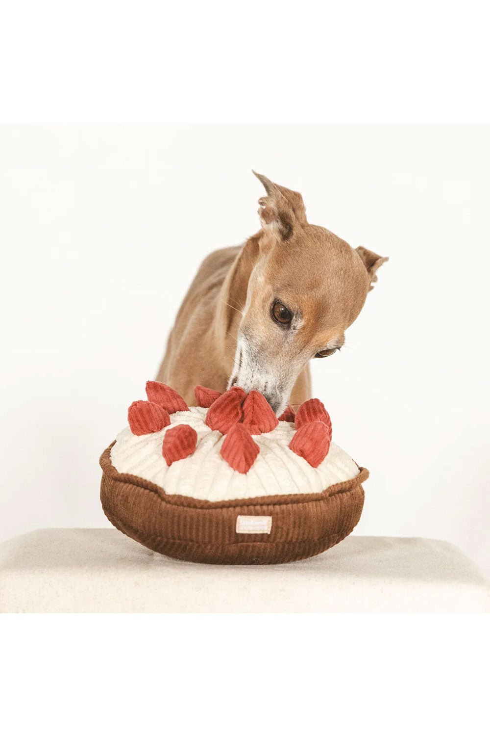 Lambwolf Collective BERRY PIE