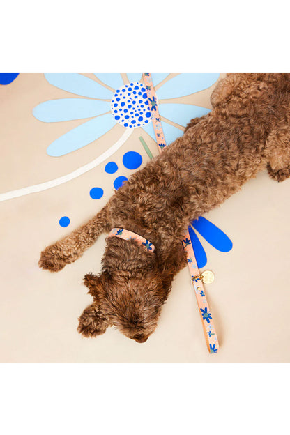 NICE DIGS POSIE DOG LEASH