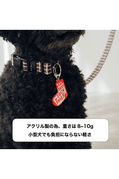 <inuno. × TheTENT> Halloween Charm